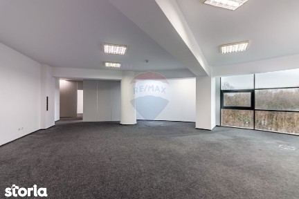 Birouri I Spații office cu vedere spre Parcul IOR | Baba Novac