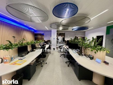 Inchiriere Spatiu Birouri | One Herastrau Office