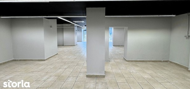 Zona Tudor Vladimirecu Bd Ghencea 150 mp open space trafic intens