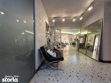 Design Studio in Herastrau