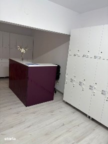 Vila P+1 de zona Brancoveanu