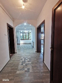 Strada Glad, Odobescu, Timisoara, Timis