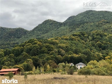 Vila premium cu lac privat si panorama catre Masivul Postavaru | Cheil