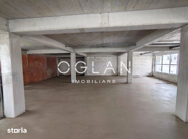 Spatiu Comercial 305 mp+ gradina 178mp, Bieltz/Turnisor
