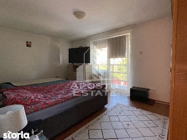 Casa Freidorf Timisoara