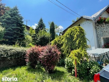 Strada Talii, Breaza, Prahova