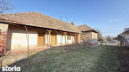 Tiream, Satu Mare