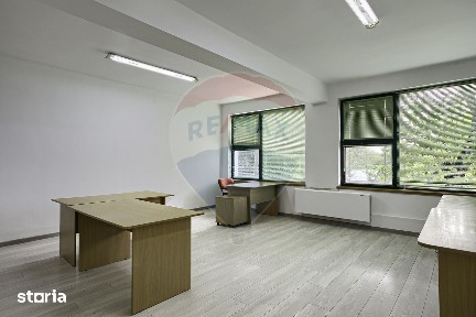 Strada Pictor Cornel Minisan, Gradiste, Arad