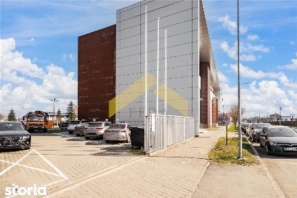 Strada Bodrogului, Parneava, Arad