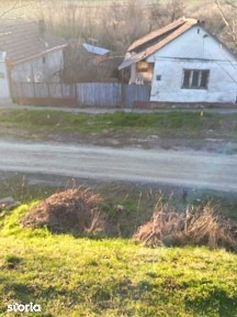 Zabrani, Arad