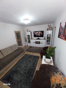Subcentral, Satu Mare