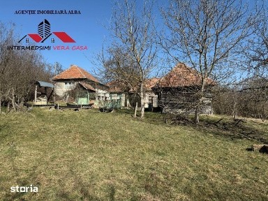 Casa si anexe cu un teren de 7701 mp de vanzare in Stauini Jud Alba