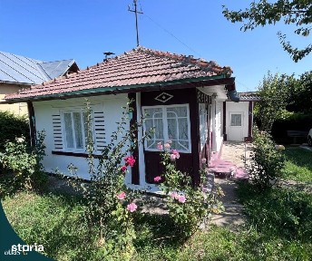 Paun, Barnova, Iasi