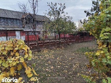 Segarcea, Dolj
