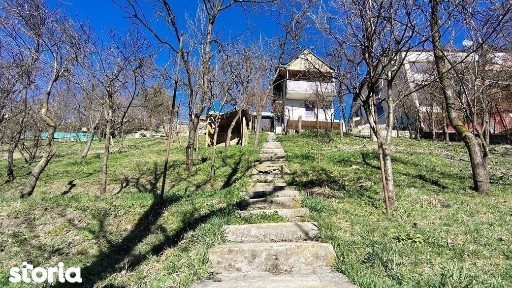 Casa individuala cu teren 1560 mp, front 26 m, panorama, Grigorescu