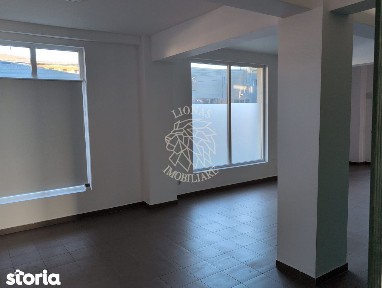 Spatiu comercial 125.76 mp-2 bai- Zona Sanovil, Viisoara