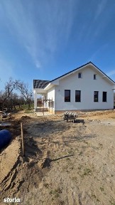 Viile Satu Mare, Satu Mare