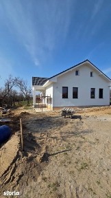 Viile Satu Mare, Satu Mare
