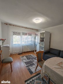 Garsonieră spațioasă cu balcon mare, Brazda, etaj 1