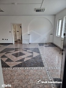 Casa individuala, 748 mp utili, 14 incaperi, ideal birouri