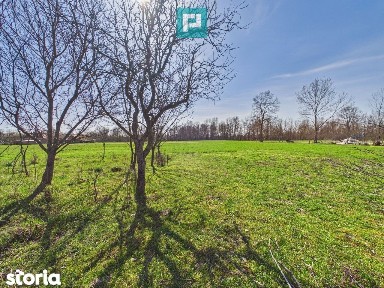 Casă cu teren de 6000 mp în Duboz, Timiș