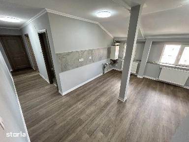 2Cam-Sagului-7 Min Spitalul Judetean-Mobilat-Centrala-54 MP-75.000 Eur