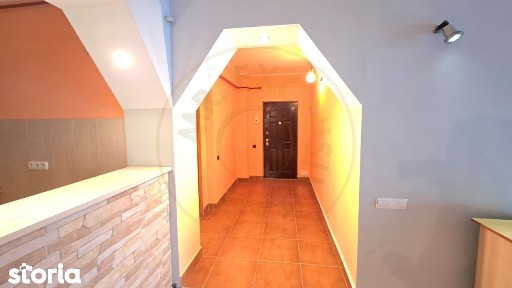 Chirie 2 Camere Satu Mare Central