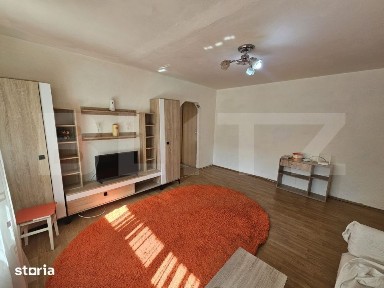 Apartament 2 camere - zona Independentei