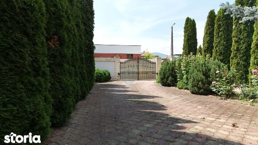 Strada Noua, Ghimbav, Brasov