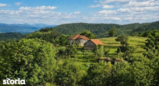 Casa individuala cu 10 hectare teren,4 camere, anexa, Vintu de Jos