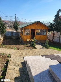 Puskin, Botosani