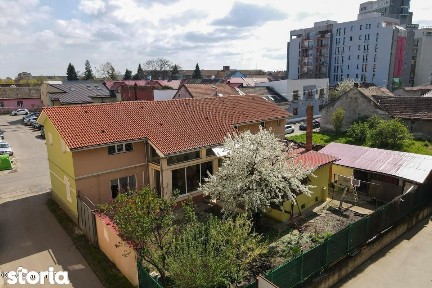 Lunei - Ion Neculce, 2 Apartamente. Mansarda 157 mp. Anexe, Lot 475 mp