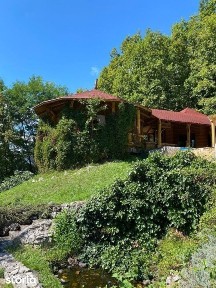 Domeniu exclusivist 17.000 mp | Vila luxury cu piscina & SPA - Carbu