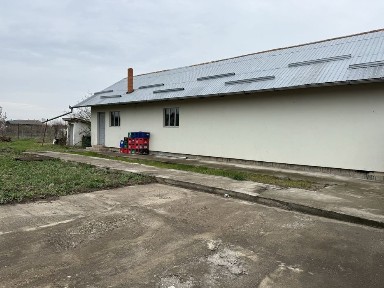 Arad, Seitin