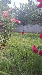 Vanzare/schimb. Vila este pe str. Fericirii, LEBADA, cu 946 mp teren