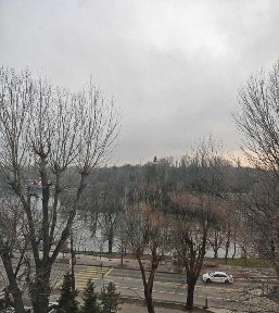 Bucuresti - Ilfov, Bucuresti, Sectorul 1