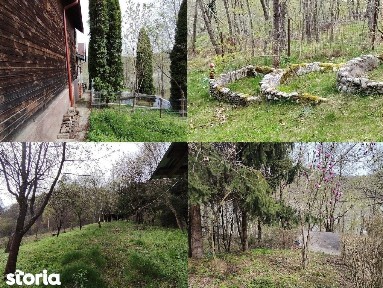 Brezoi, Valcea