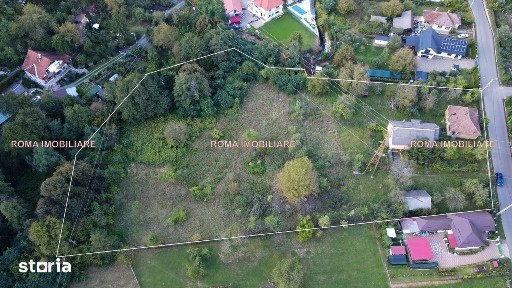 Valea Borcutului casa cu teren 9.000 mp