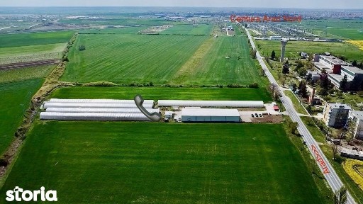 Arad