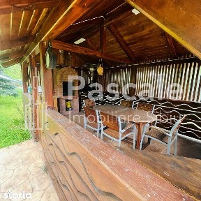Baile Herculane, Caras-Severin