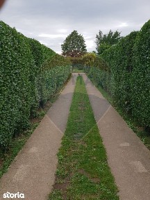 Strada Traian, Vadu Anei, Branesti, Ilfov