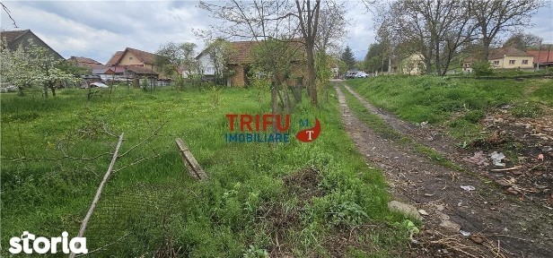 Casă veche + teren 3100 mp | Galda de Jos | Acces râu