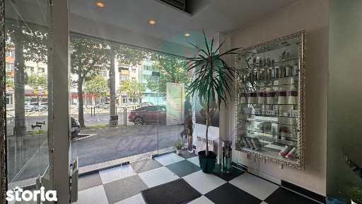 Spatiu Comercial CALEA MOSILOR