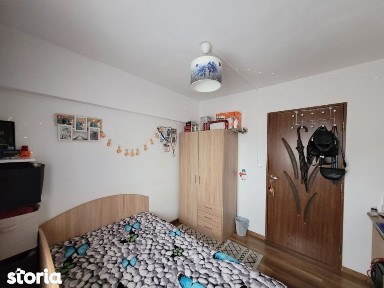 Camera de camin - 20 mp - Valea Rosie