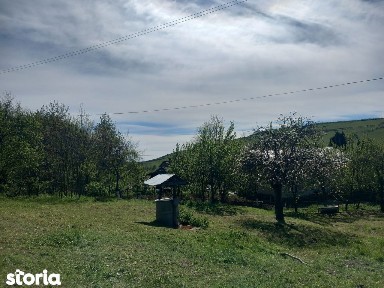 Teren spectaculos,Porumbeni12.822 mp livadă,case și panoramă superba