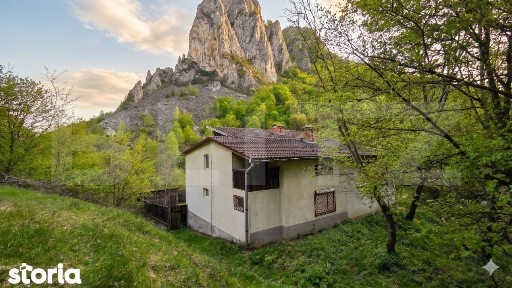 Cabana de poveste in Ramet | 2000 mp teren + rau pe proprietate | ide
