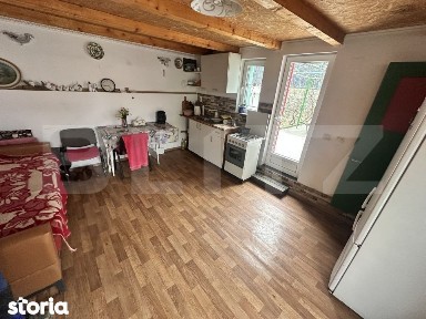 Apartament de locuit + atelier auto + terasa si curte generoasa