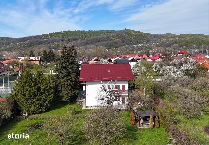 Perisani, Valcea