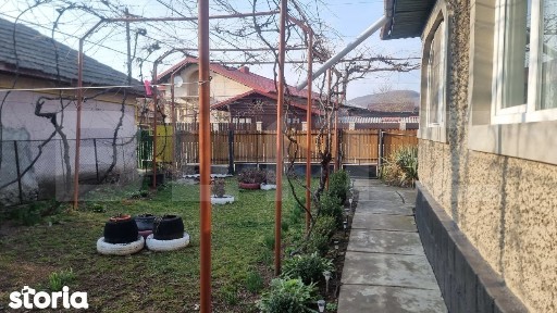 2 CASE 6 camere +teren 736 mp Magureni
