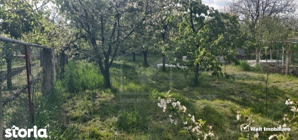 Casa cu gradina in Apahida